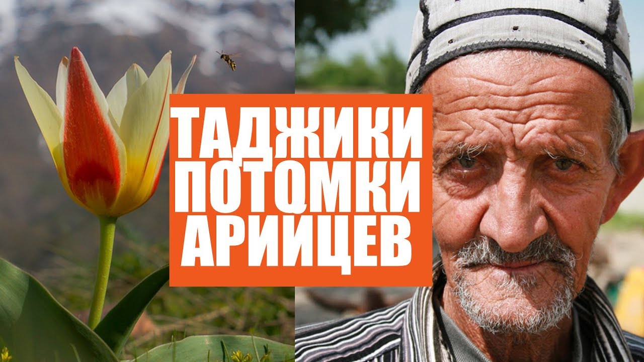 Таджикистан - страна вечно цветущих тюльпанов / Таджикская ССР  и СССР / جمهوريت اجتماعی شوروى مختار