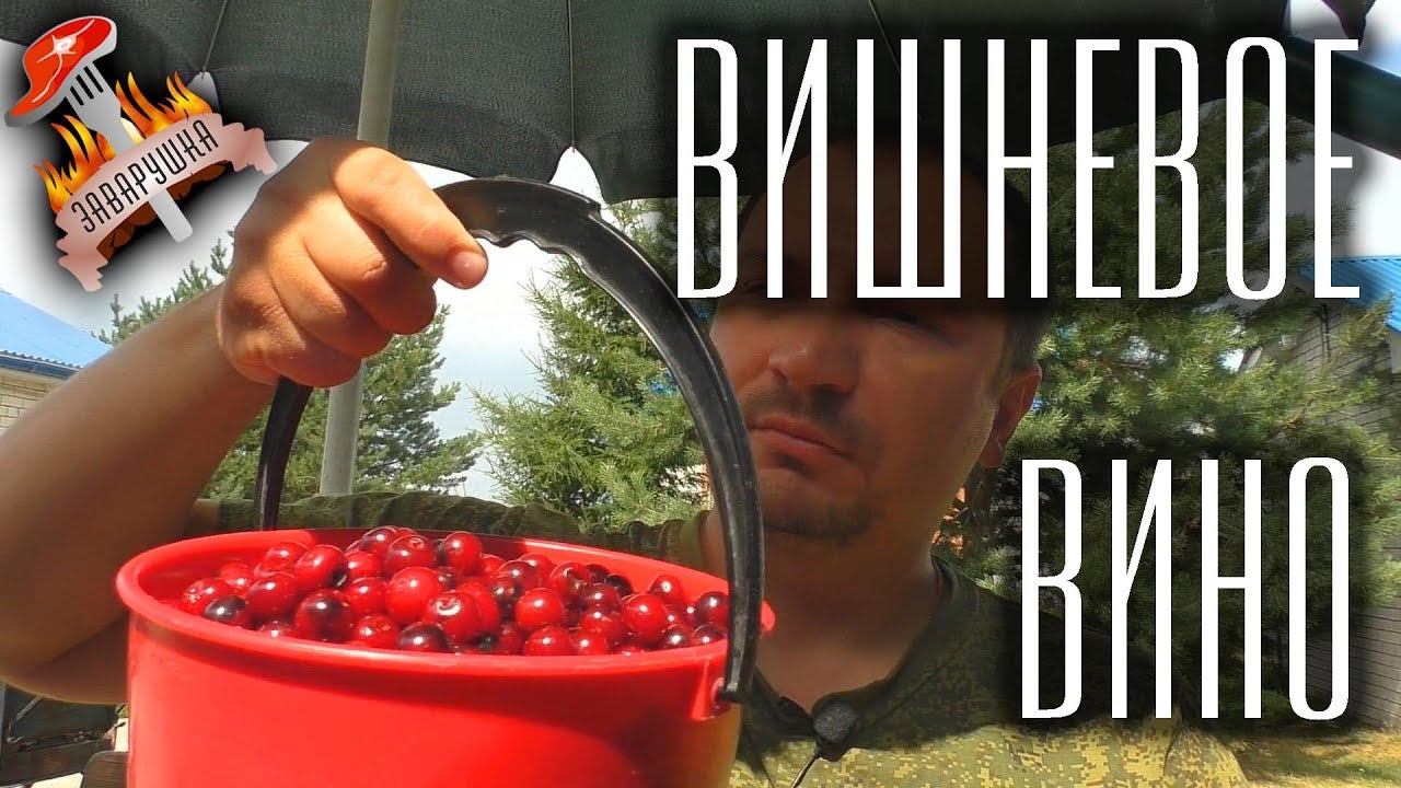 Домашнее вино из ВИШНИ