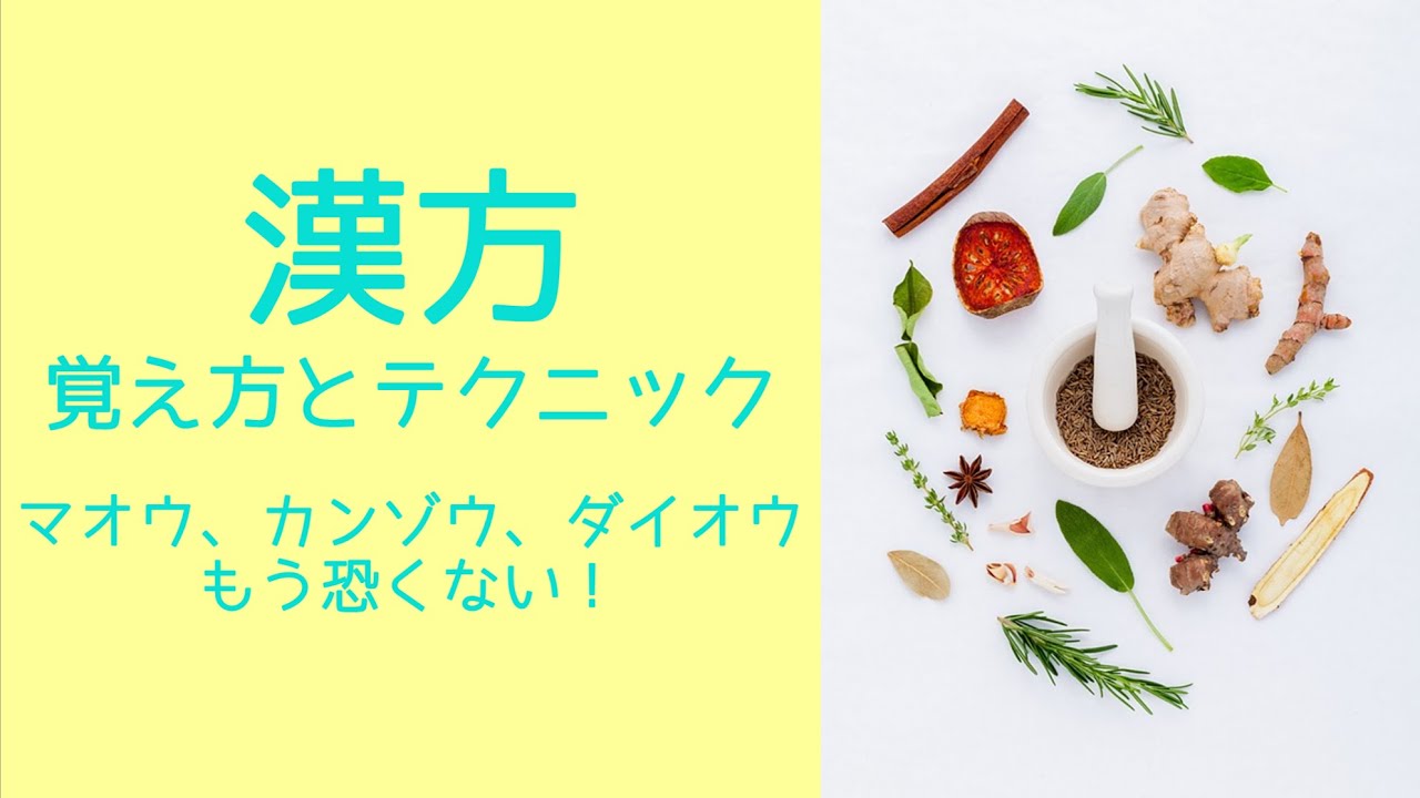 【登販試験3-2-4】漢方①覚え方とテクニックーマオウ、カンゾウ、ダイオウー※資料は概要欄※