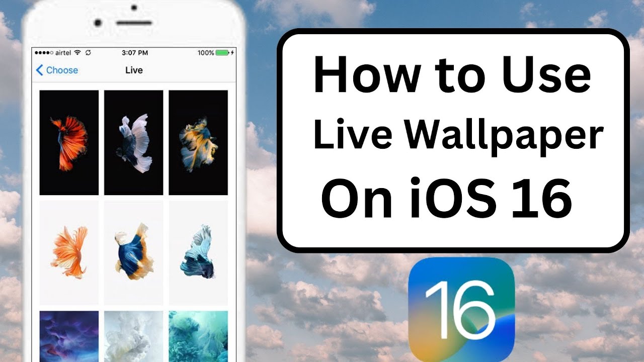 How to Put Live Wallpaper on iPhone iOS 16 | Set Live Wallpaper on iPhone iOS 16