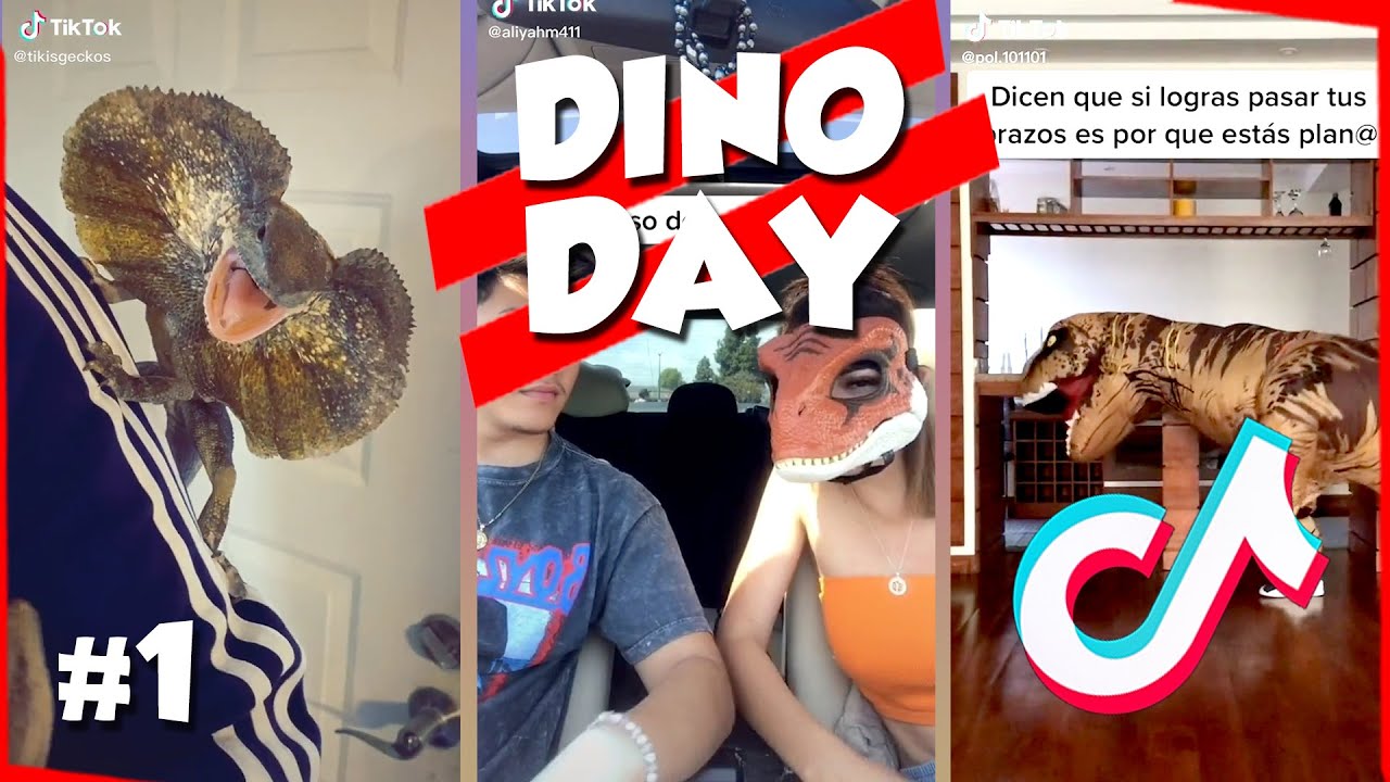 TikTok Dino Day #1 | Dinosaur Compilation | This is TikTok