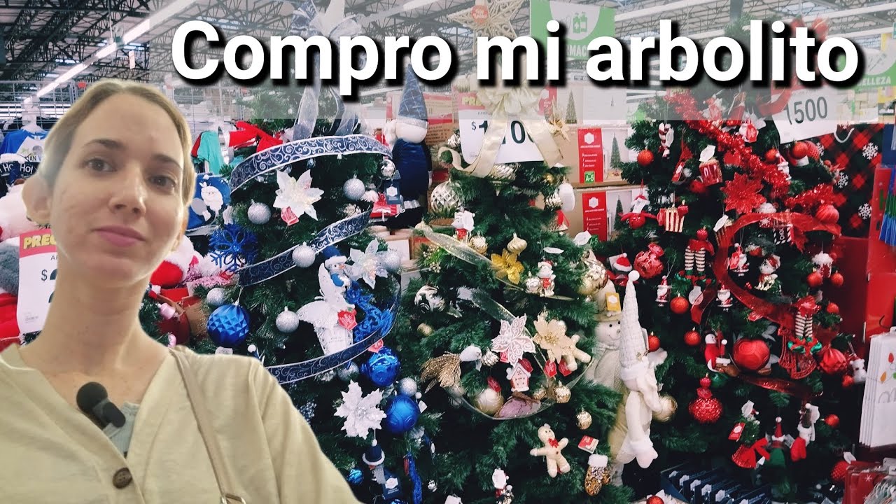 Compramos nuestro ÁRBOL de NAVIDAD 🎄 11_2025