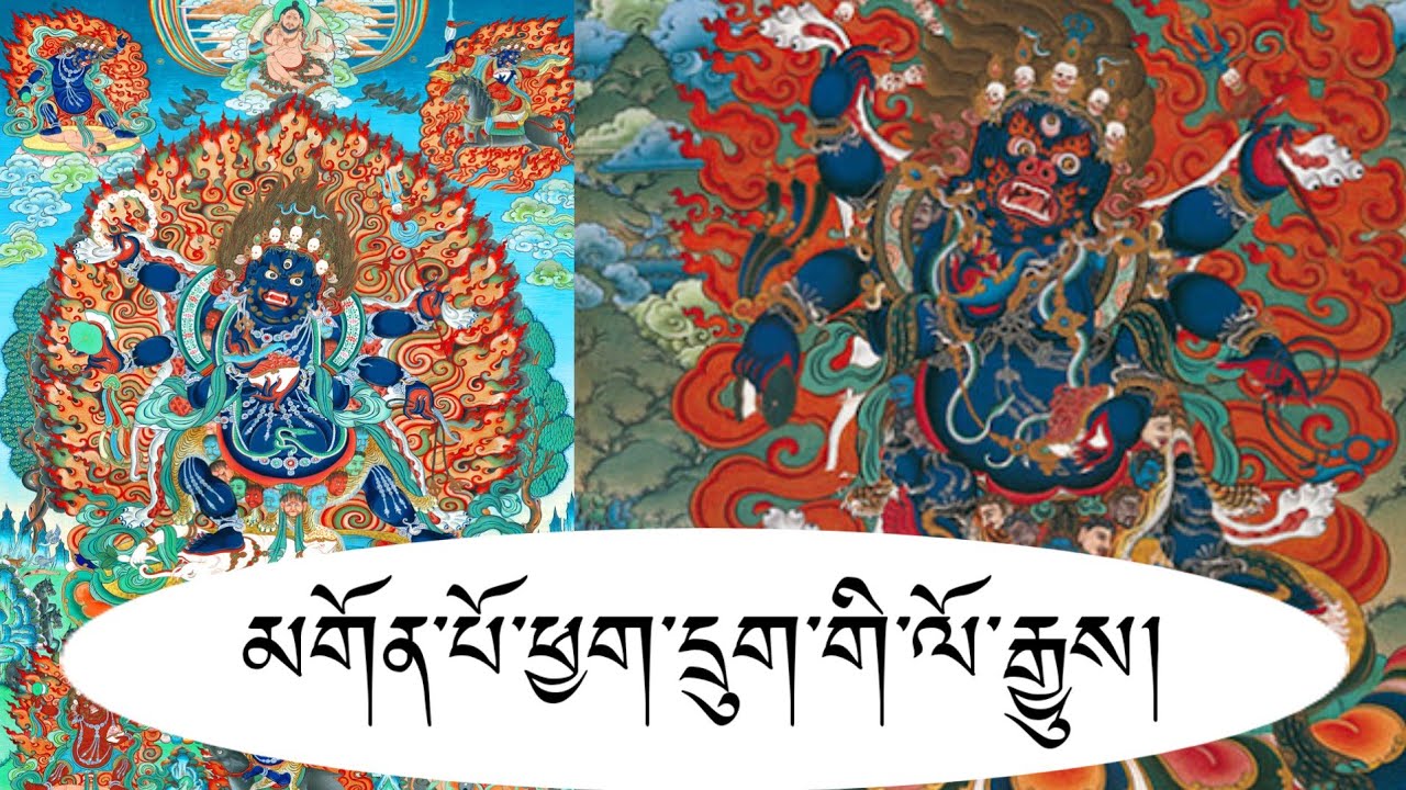 མགོན་པོ་ཕྱག་དྲུག་བྱུང་བའི་ལོ་རྒྱུས། ཡེ་ཤེས་ཀྱི་མགོན་པོ་ཕྱག་དྲུག་པ། སྤྱན་རས་གཟིགས་ཀྱི་རྣམ་སྤྲུལ།