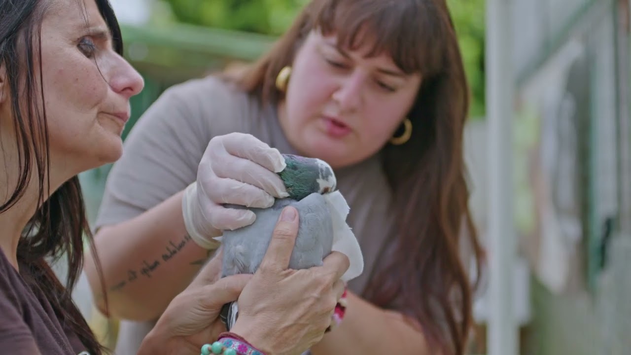 Otto per Mille Storie. Vitadacani ODV. Progetto: Diverse specie per un solo pianeta.