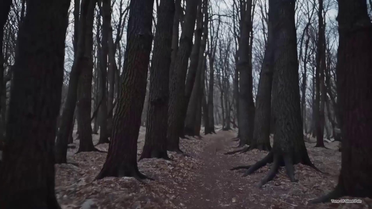 Piano Instrumental, Calm, melancholic sleep ASMR music -  Relax / Sad / #classicalmusic