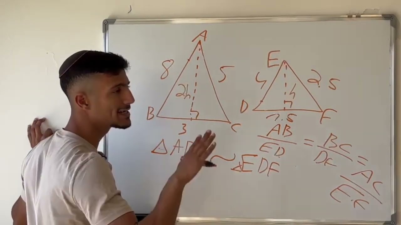 דמיון משולשים   ההסבר המקיף + משפטי הדמיון