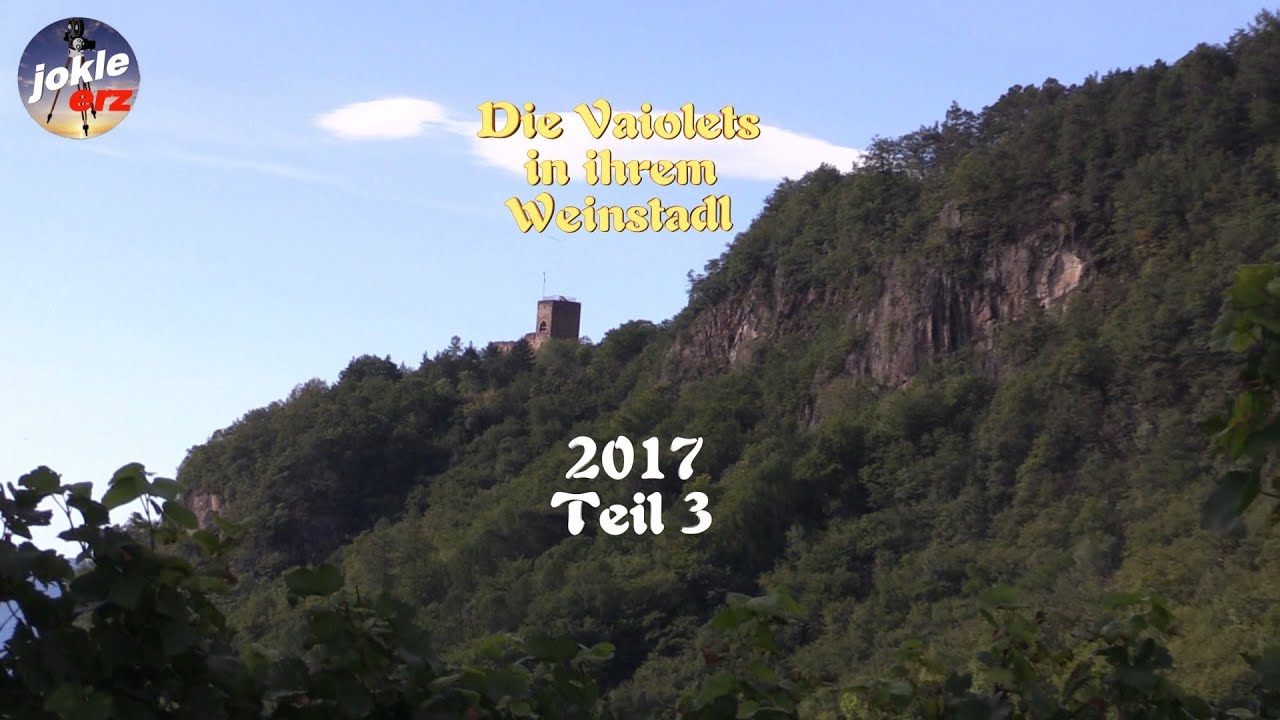 Die Vaiolets in ihrem Weinstadl Teil 3