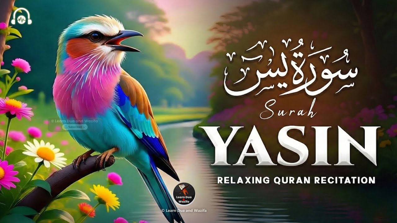 Surah Yaseen 💌 Surah Ar Rahman 🕋 Best Qur'an Recitation | Surah Yasin full | Arabic text HD (659)