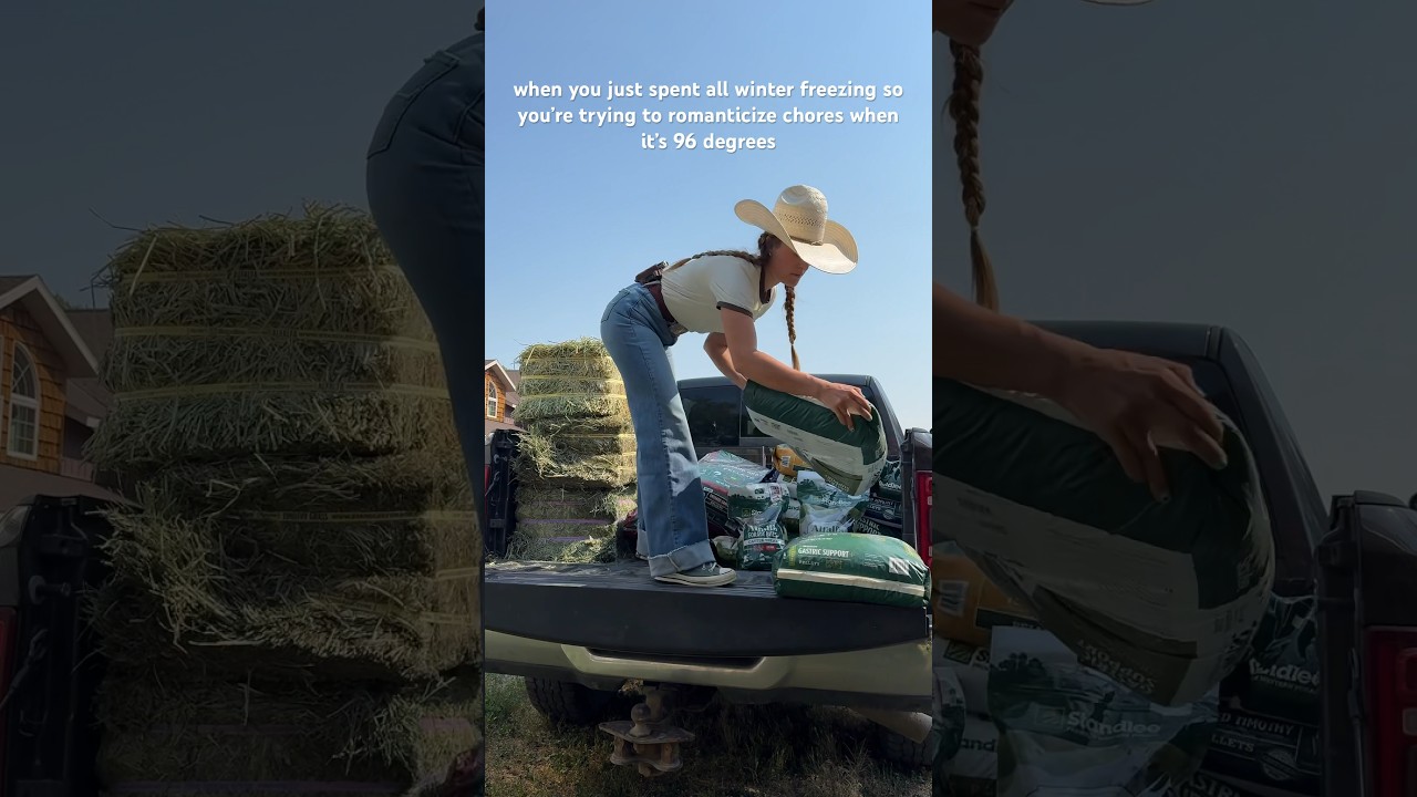 have energy, montana🫠 #ranchliving #summer #chores #cowboys