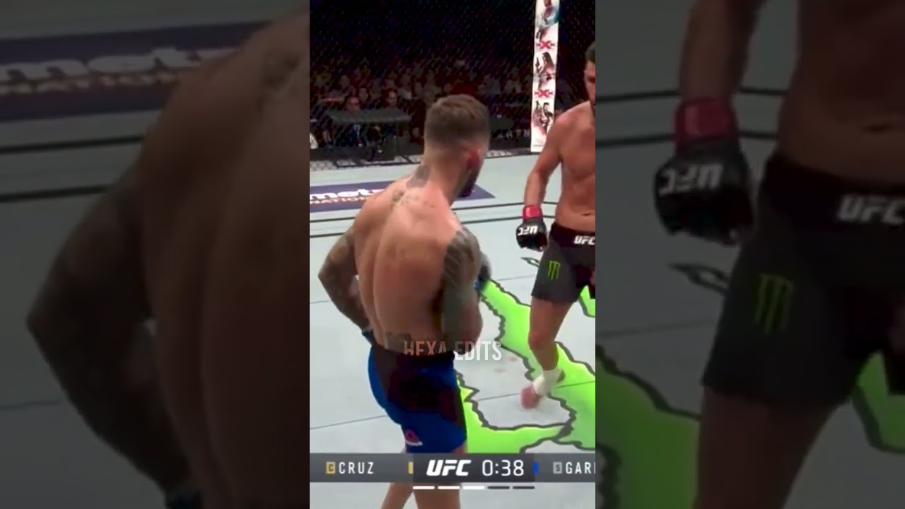 Most Entertaining Fight in UFC History #shorts #trending #mma