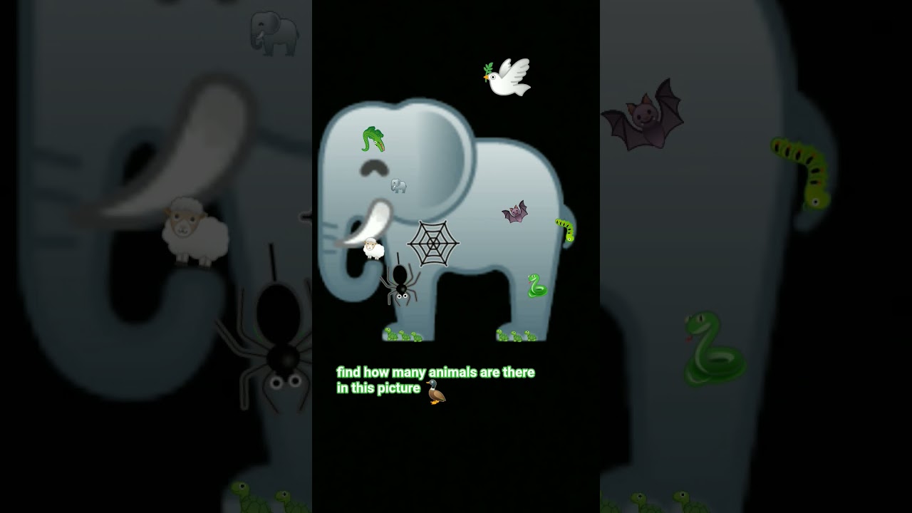 find how many animals🐭