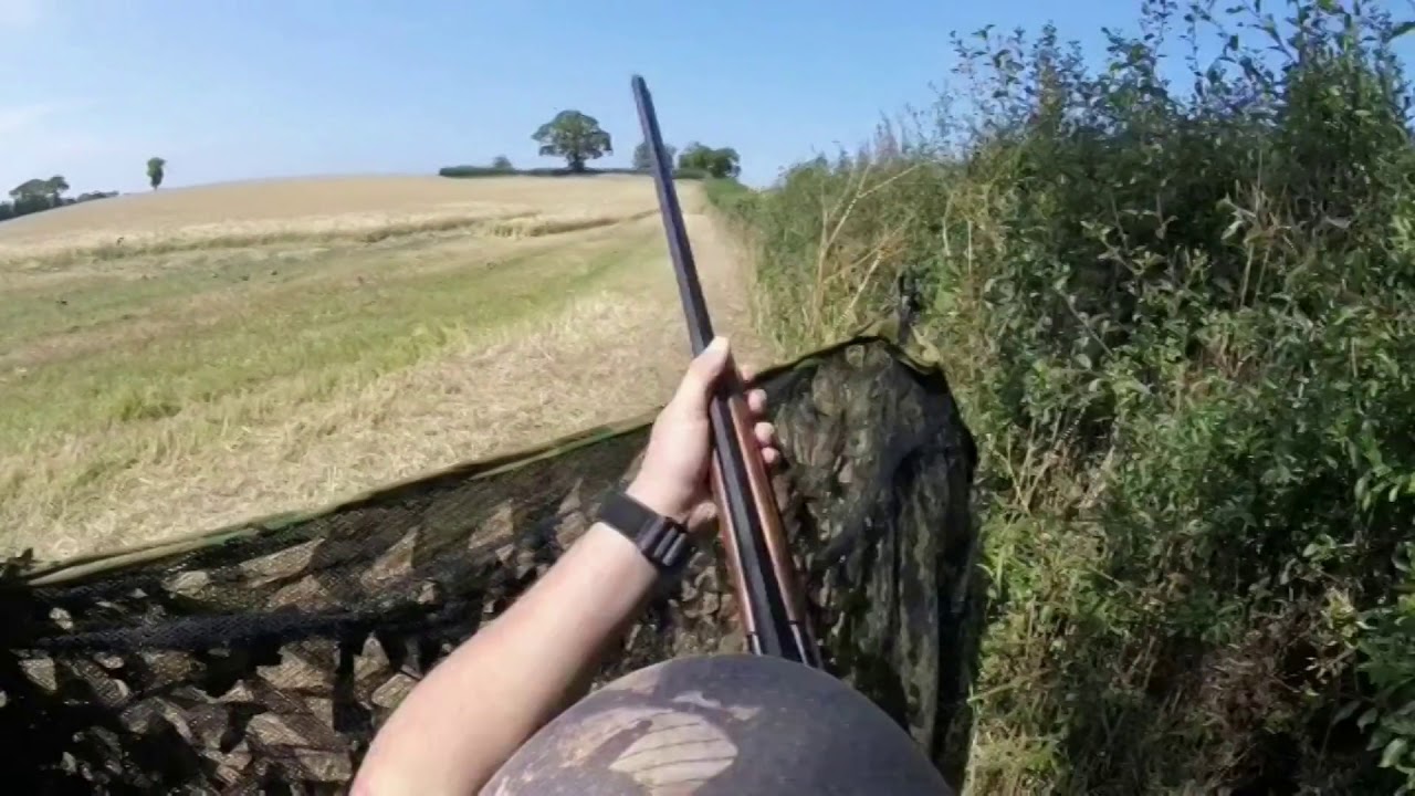 Pheasant and Pigeon shooting 28 bore.
