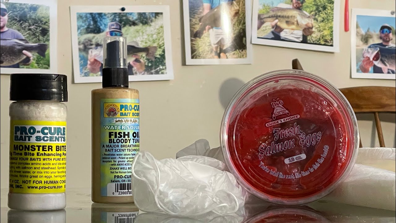 HOW TO make STORE BOUGHT BASIC Salmon Eggs/Roe better for fishing