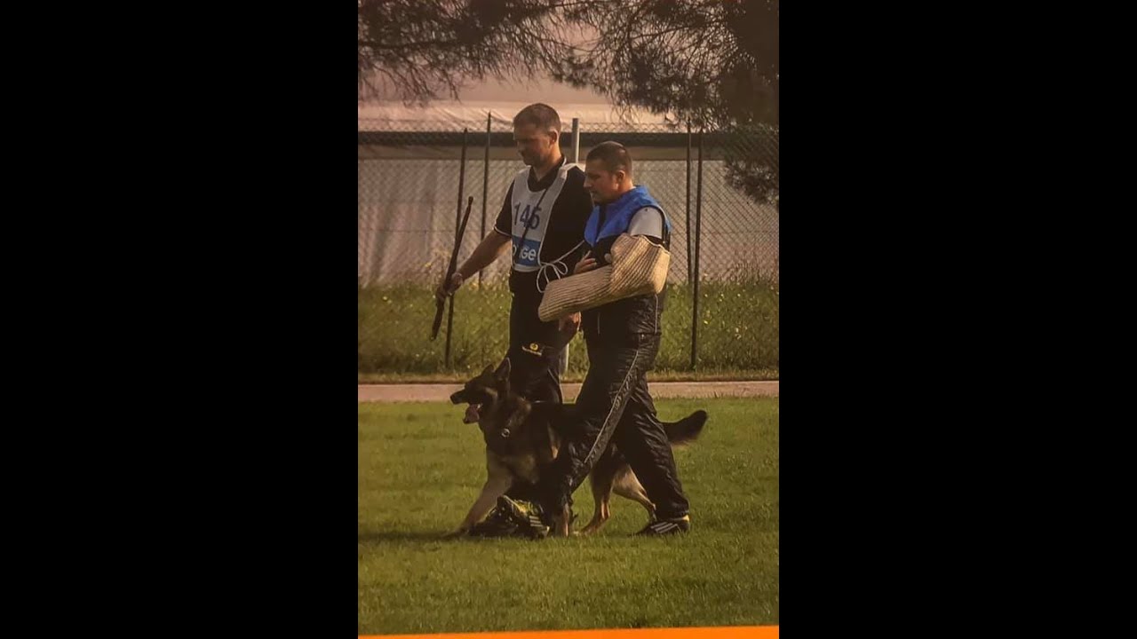 IGP | preparazione al lavoro di morso