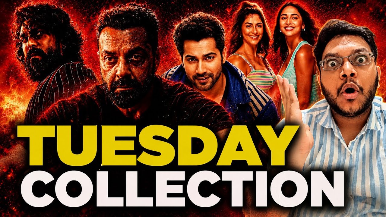 HAI JAWANI TOH ISHQ HONA HAI DAY 12 COLLECTION | BANDAR DAY 12 COLLECTION | PEDDI DAY 13 COLLECTION 