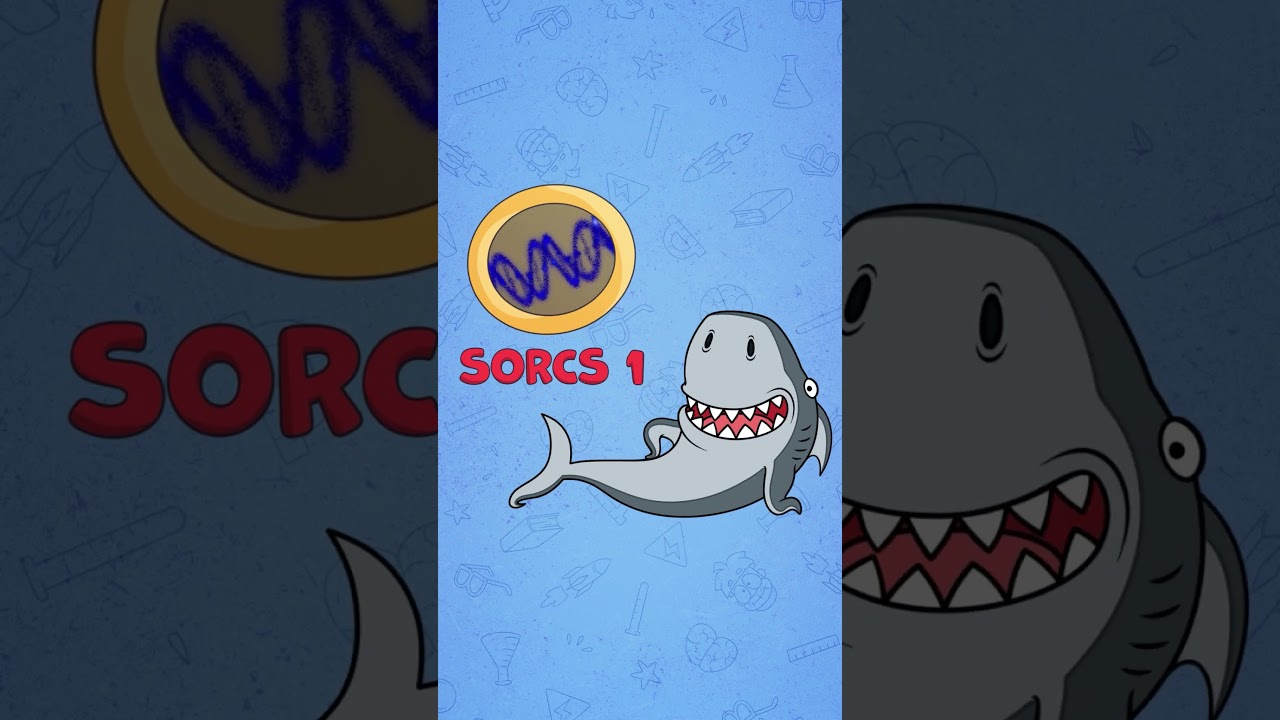 Ген приручения #Лисица #SORCS1 #MeetArnold