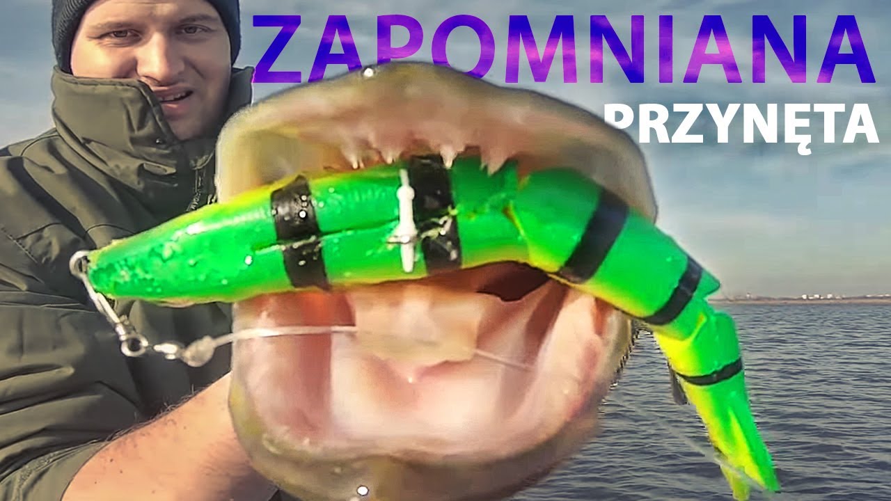 Szczupaki z zarośniętego jeziora - Drużno dzień 2