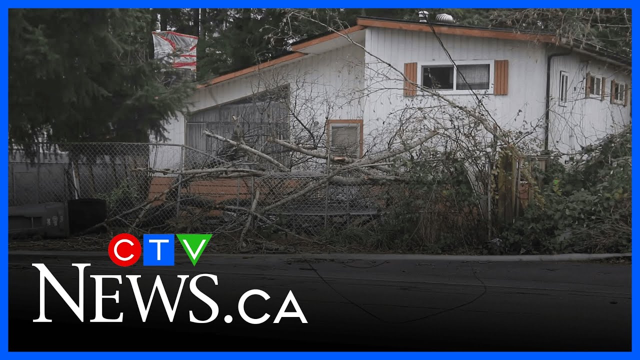 Storm cuts power to thousands of BC Hydro customers