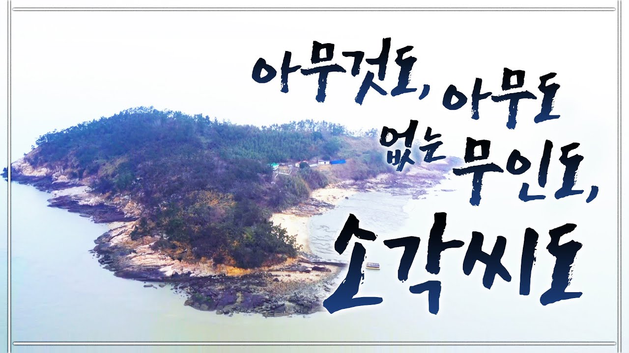 개 한마리랑 둘이 아무도 없는 무인도로 들어왔습니다. 와서 닭도 키우고, 바닷가에서 물고기도 잡고 사람 싫어서 무인도로 들어왔어요~ #영광 #소각씨도 #갯벌 #무인도 #자연인