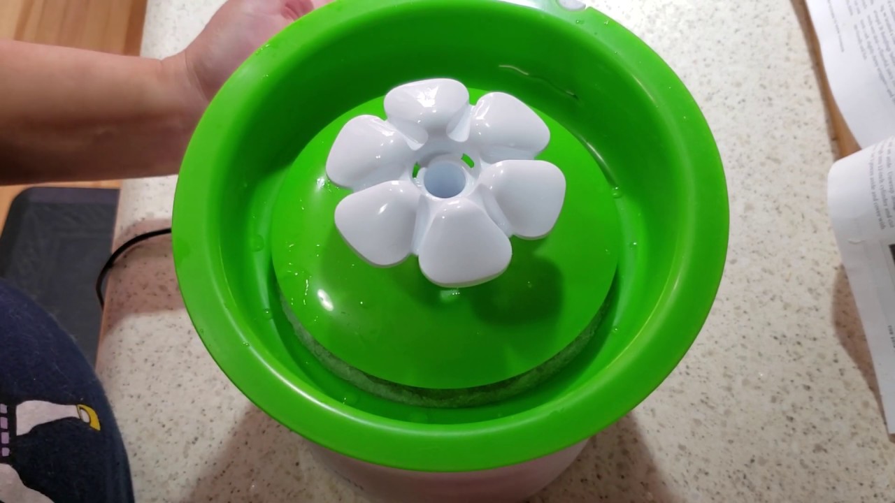 How to Clean the Catit Flower Fountain