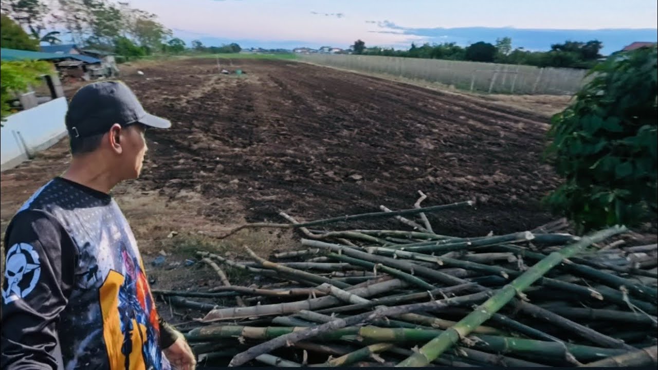 READY NA ANG FARM 1