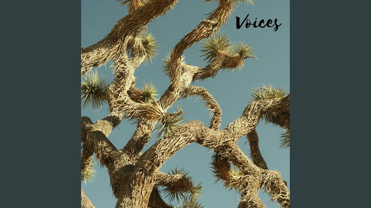 Voices