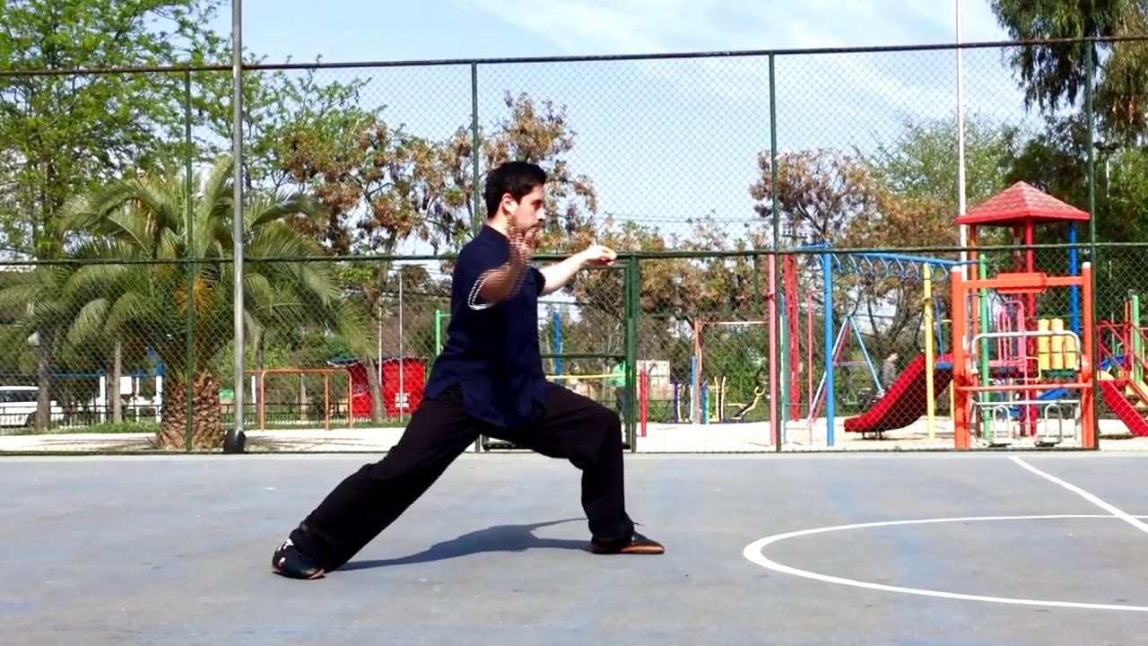 Hong Junsheng Taiji Quan 13 posturas. 洪均生太极拳十三式