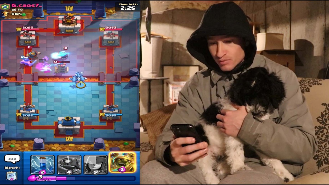 my dog plays clash royale