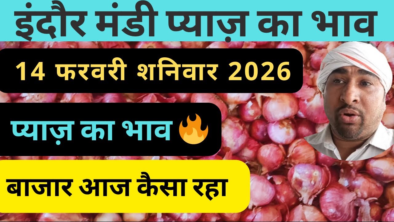 indore mandi pyaj ka bhav​ प्याज का भाव #lahsunaajkabhad 