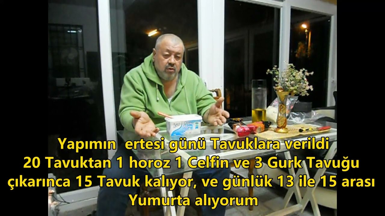 Tavukların daha fazla Yumurtlaması için bir Tarif Yumurtlamayı Bırakan Tavukları birdaha yumurtlatma