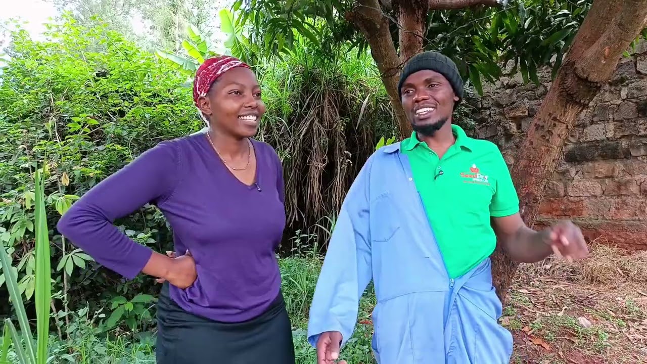 Irūa ria rika ria wantam😅 #comedy #kikuyuentertainmentnews 