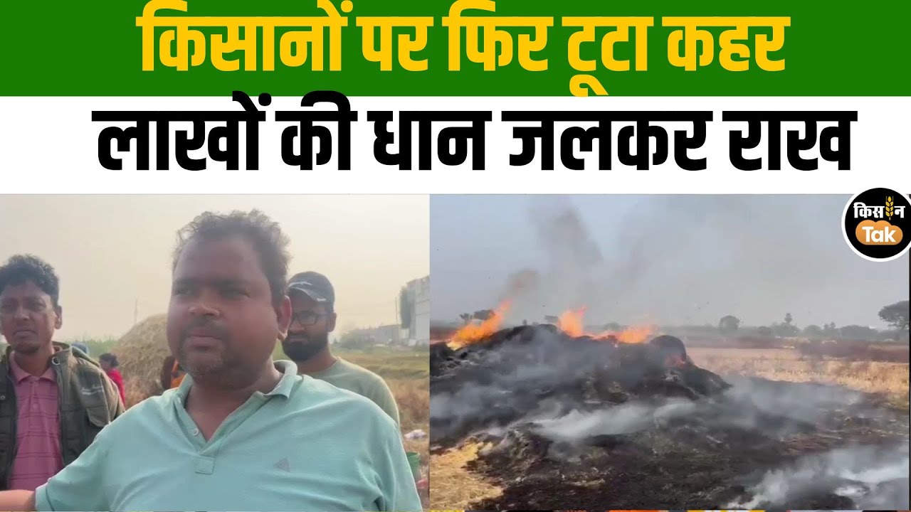 Koderma News: कोडरमा में लगी भीषण आग, किसानों की लाखों की धान जलकर खाक#kisantak