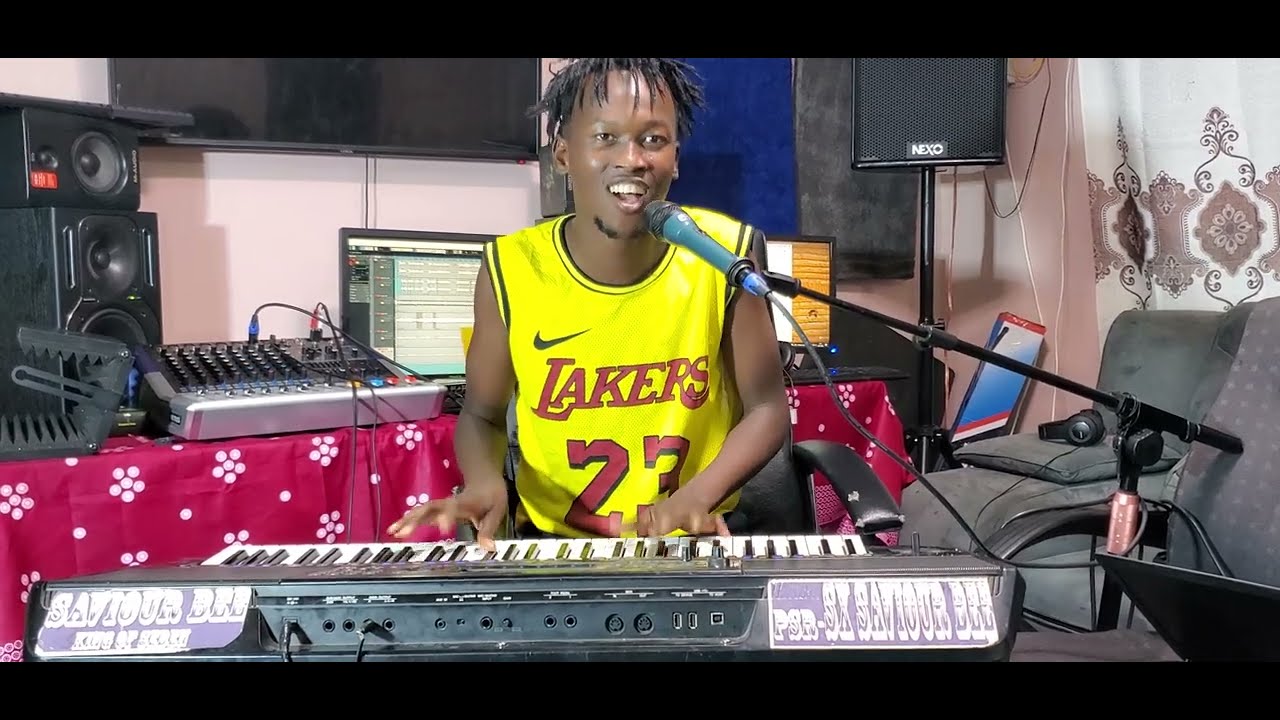 seben  mix saviour  bee on the keyboard