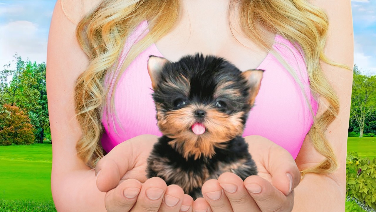 I Adopted The World's SMALLEST DOG!