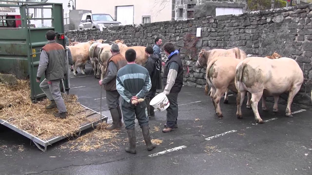 Les Tersons Aubrac 2015 V. 2