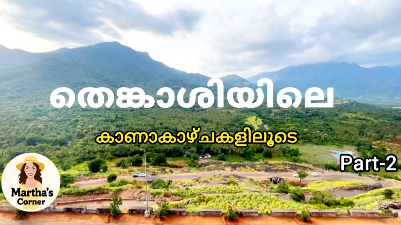 തെങ്കാശിയിലെ കാണാകാഴ്ചകൾ |Tenkasi | Anniyan Para| Mekkarai Village | Adavinainar  Dam |