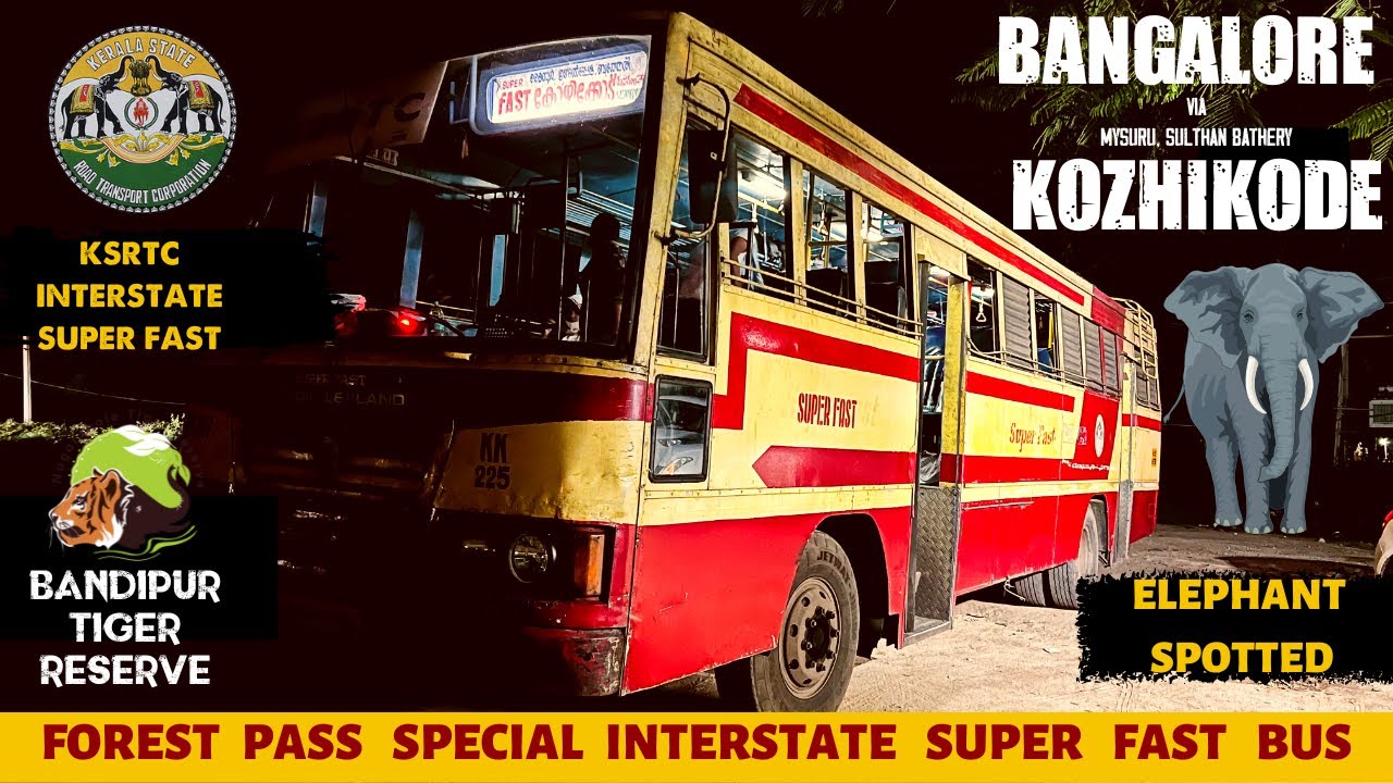 Bangalore to Kozhikode KSRTC Super Fast Forest Pass Special Bus | Interstate Forest Rider | Bus Vlog