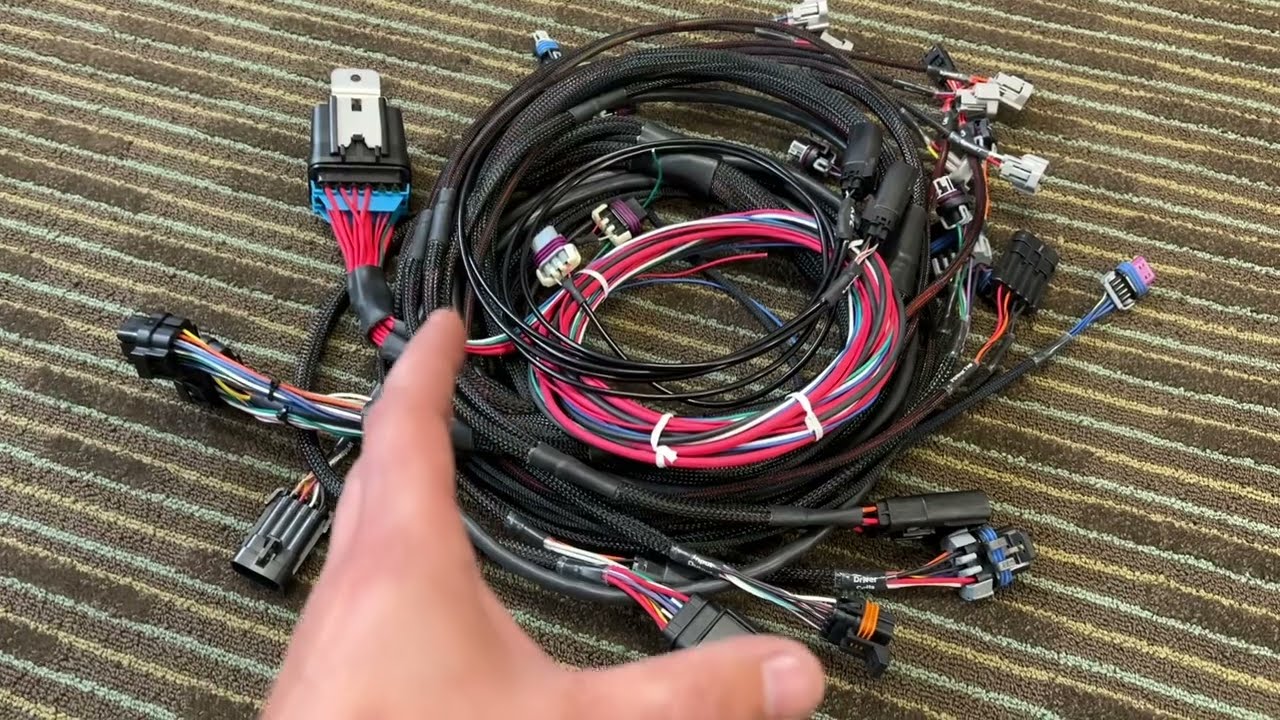HCR custom Holley EFI wiring harness