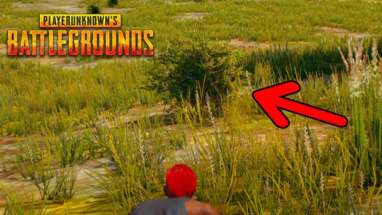 ВЫ ВИДИТЕ ЕГО ? ПРОТИВНИК ЗАСЕЛ В КУСТУ И УБИЛ ВЕСЬ СКВАД В PLAYERUNKNOWNS BATTLEGROUNDS