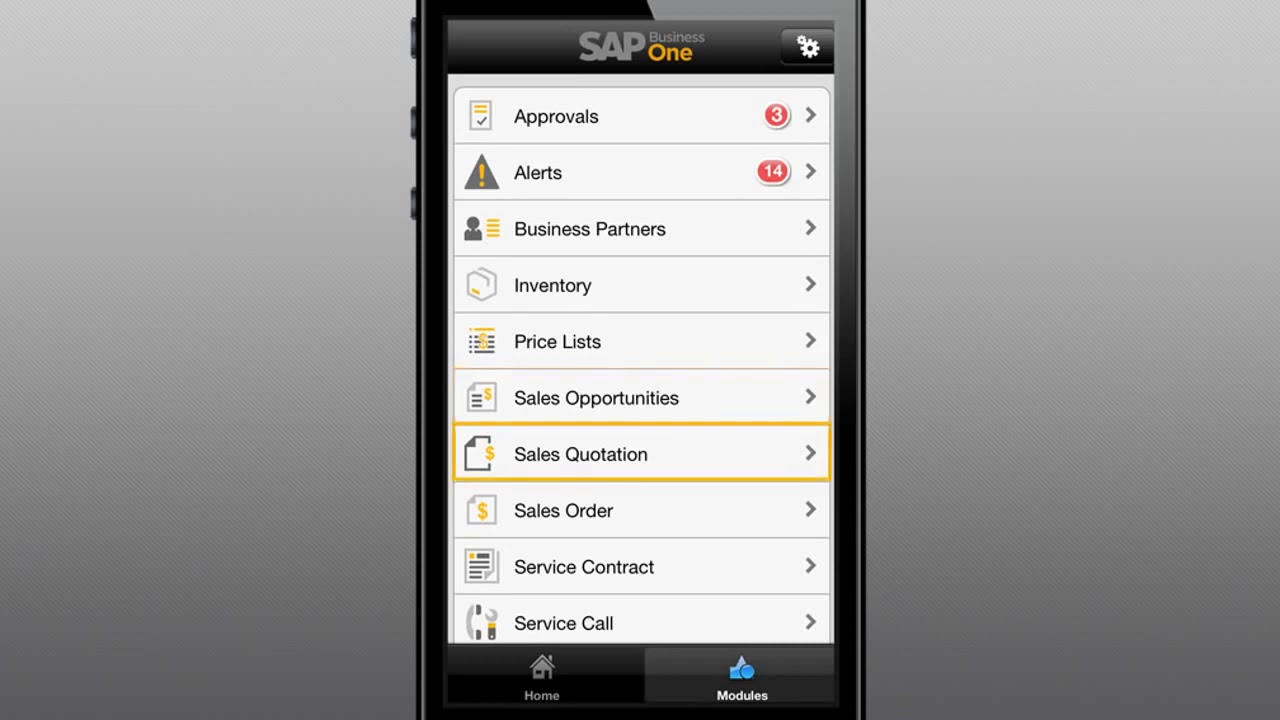 SAP Business B1  Mobile App overview.