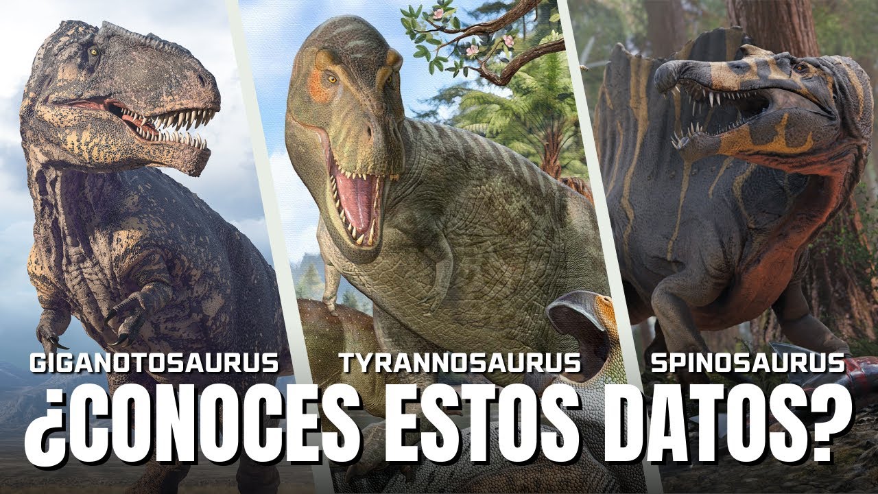 ¿Conocías estos datos de los Dinosaurios Carnívoros Más Grandes?