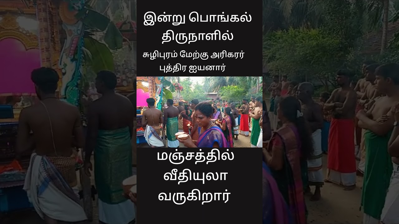 பொங்கல் திருநாளில் சுழிபுரம்  மேற்கு அரிகர புத்திரர் ஐயனார் மஞ்சத்தில் வீதியுஉலா வருகிறார் 