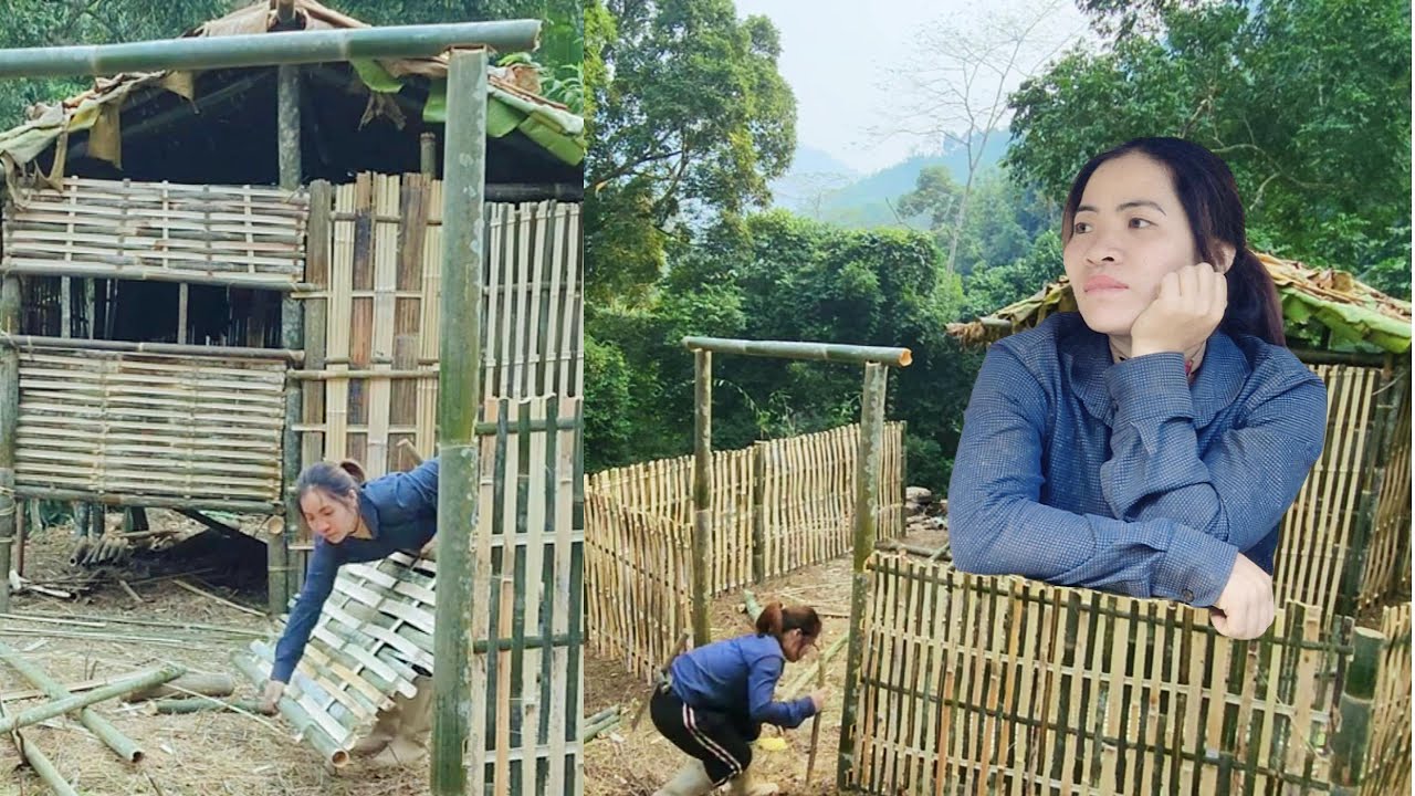 100 Days of a Poor Girl Living by Bamboo Homes and Wild Vegetation