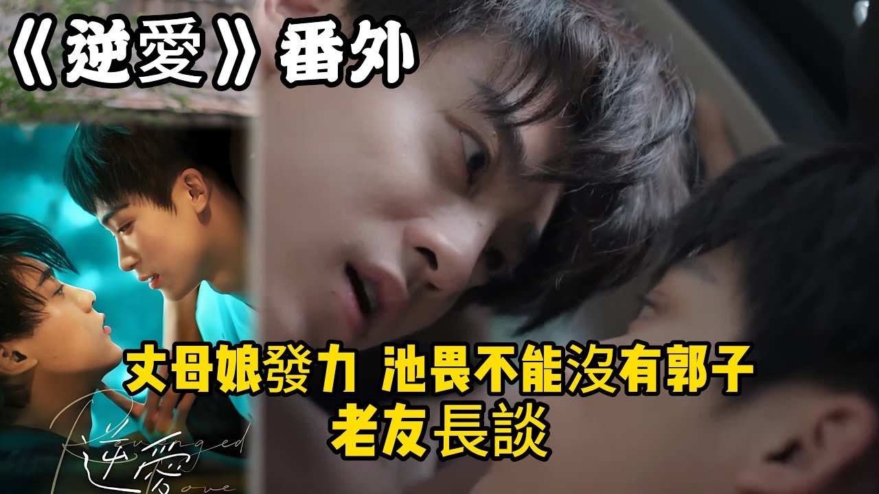 《逆愛》番外！：（46）丈母娘發力， 池畏不能沒有郭子，就像西方不能失去耶路撒冷，老友長談。#田栩宁 #梓渝 #吴所畏 #池骋 #逆爱 #revenged