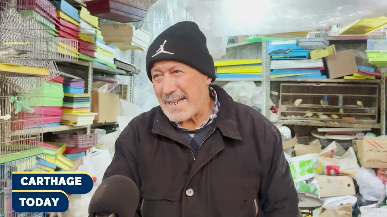 بائع الطيور و الدجاج في مرشي سنترال يحكيلنا عن فوائد🥚 عضم السمان  