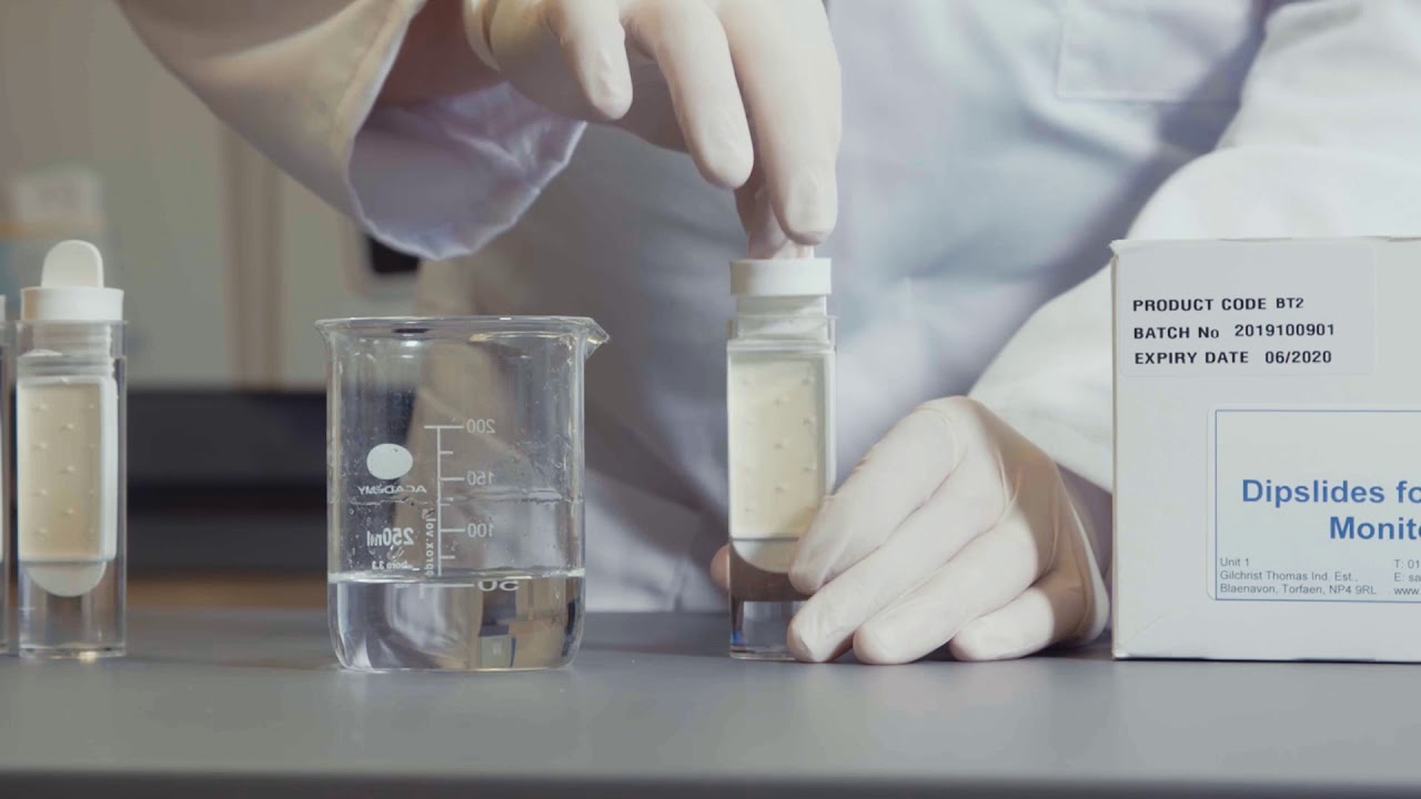 How to Correctly Take a Dipslide and Incubate for the best results. Instructional Video.