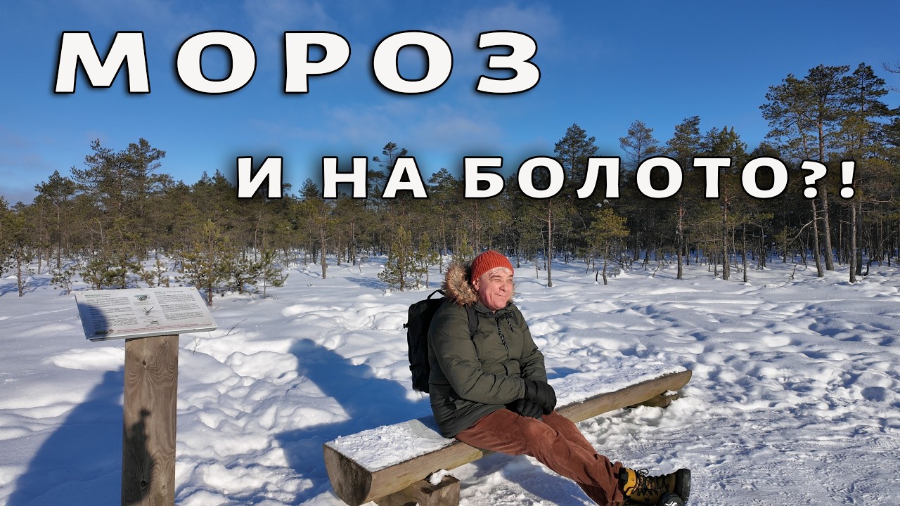 Почему эстонцы идут гулять по болотам зимой? | Viru raba