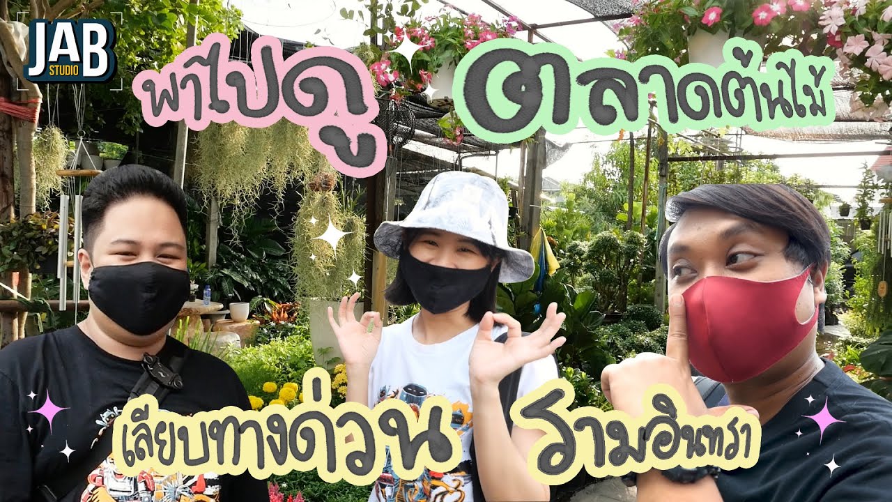 เอาที่สบายใจ : พาไปดู ตลาดต้นไม้เส้นเลียบทางด่วนรามอินทรา