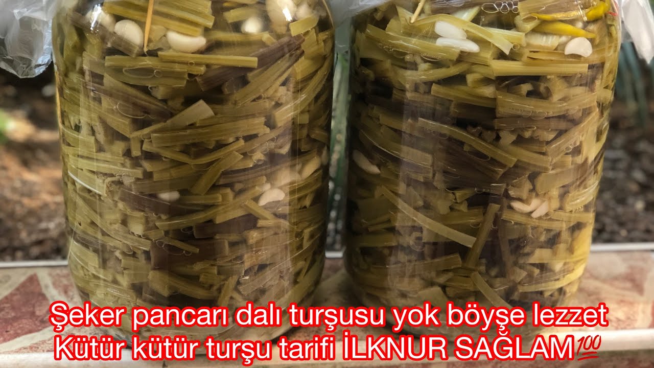 Dal Turşusu Nasıl Yapılır/Turşu Nasıl Kurulur/Kışlık Şeker Pancarı Dalı Turşusu