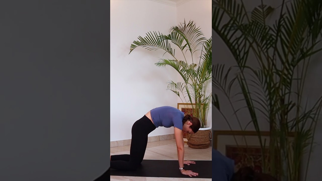 Yoga Moves For Beginners 